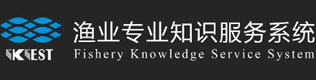 二十次全國代表大會